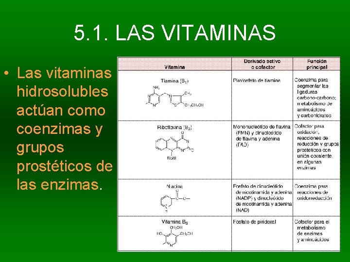 5. 1. LAS VITAMINAS • Las vitaminas hidrosolubles actúan como coenzimas y grupos prostéticos