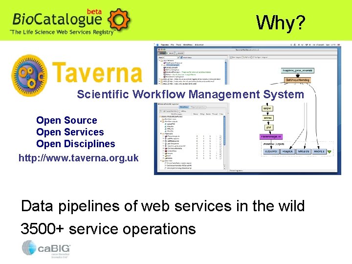 Why? Scientific Workflow Management System Open Source Open Services Open Disciplines http: //www. taverna.