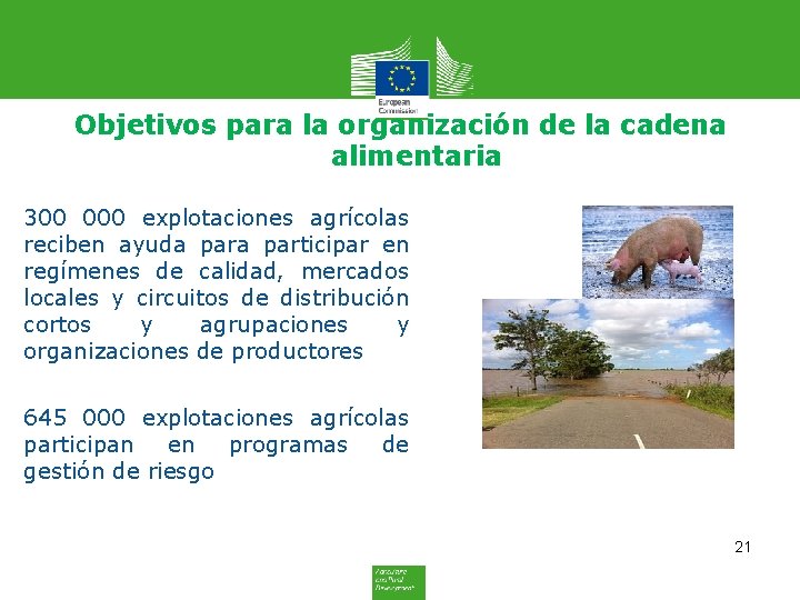 Objetivos para la organización de la cadena alimentaria 300 000 explotaciones agrícolas reciben ayuda