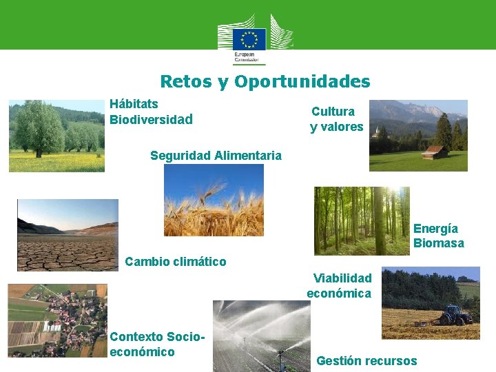 Retos y Oportunidades Hábitats Biodiversidad Cultura y valores Seguridad Alimentaria Energía Biomasa Cambio climático