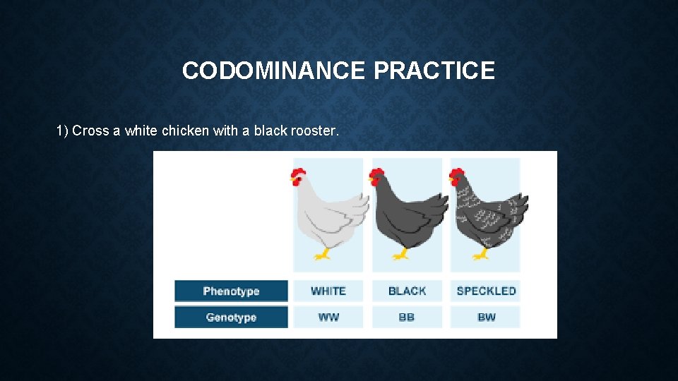 CODOMINANCE PRACTICE 1) Cross a white chicken with a black rooster. 