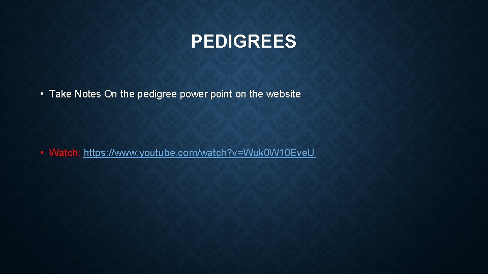 PEDIGREES • Take Notes On the pedigree power point on the website • Watch: