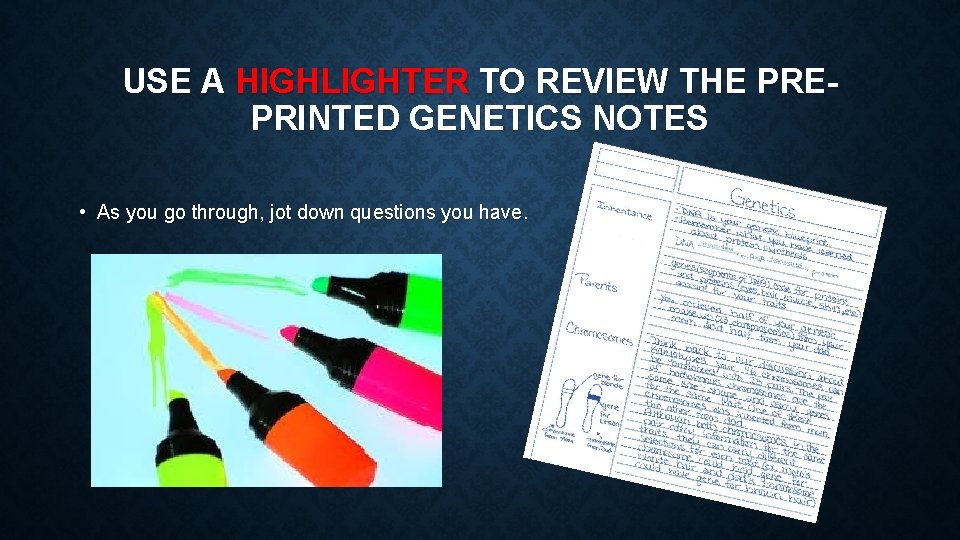 USE A HIGHLIGHTER TO REVIEW THE PREPRINTED GENETICS NOTES • As you go through,