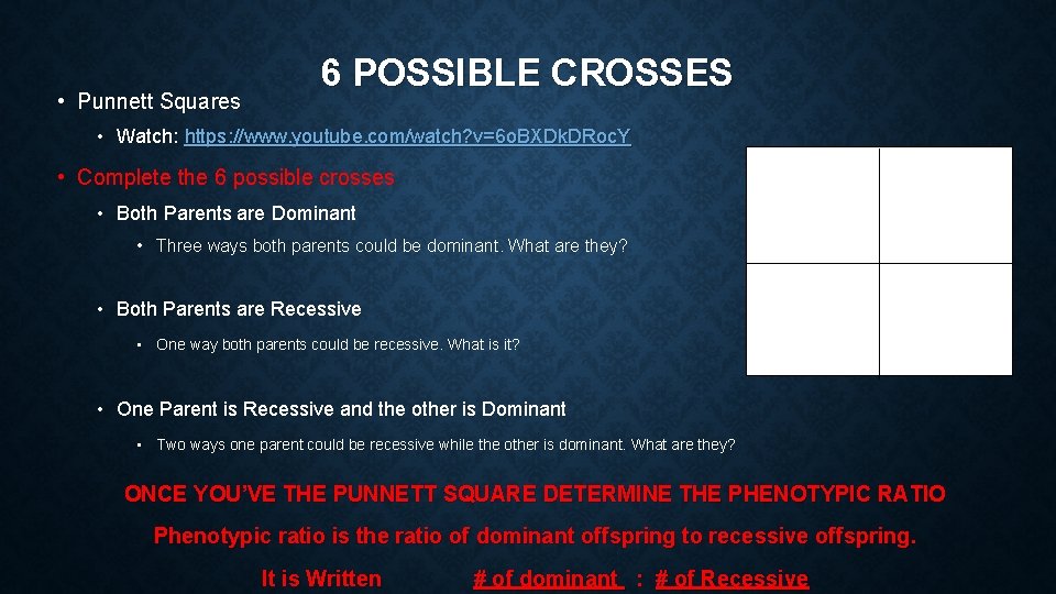  • Punnett Squares 6 POSSIBLE CROSSES • Watch: https: //www. youtube. com/watch? v=6