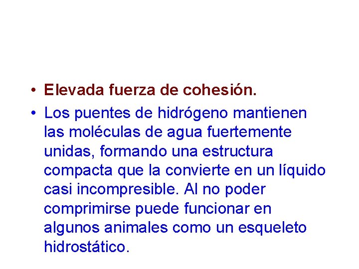  • Elevada fuerza de cohesión. • Los puentes de hidrógeno mantienen las moléculas