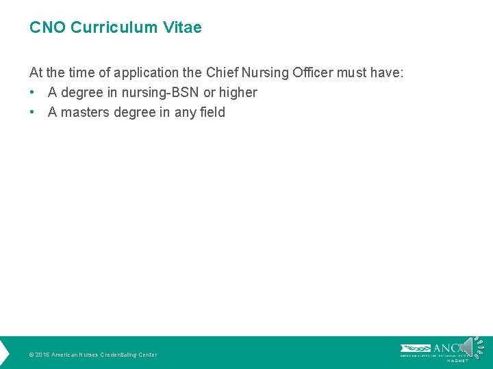 CNO Curriculum Vitae At the time of application the Chief Nursing Officer must have: