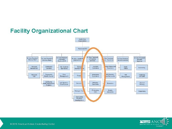 Facility Organizational Chart © 2015 American Nurses Credentialing Center 