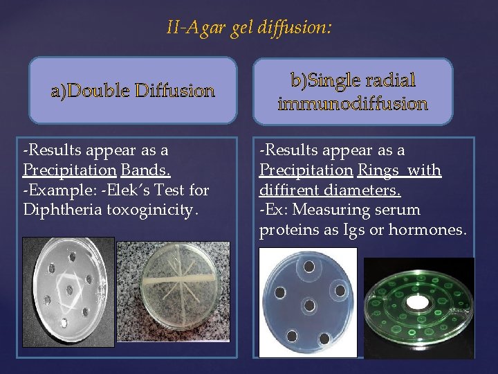 II-Agar gel diffusion: a)Double Diffusion -Results appear as a Precipitation Bands. -Example: -Elek’s Test