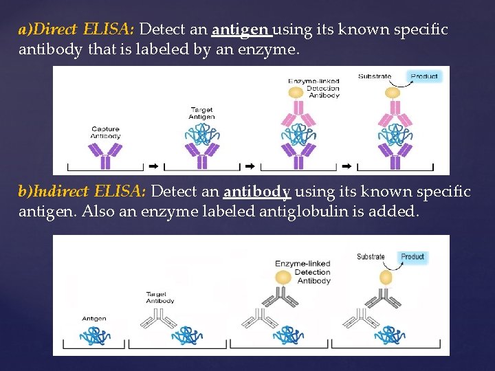 a)Direct ELISA: Detect an antigen using its known specific antibody that is labeled by