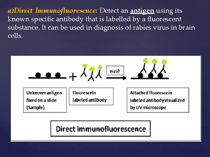 a)Direct Immunofluoresence: Detect an antigen using its known specific antibody that is labelled by