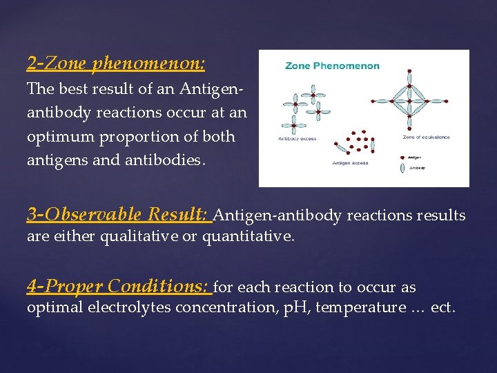 2 -Zone phenomenon: The best result of an Antigenantibody reactions occur at an optimum