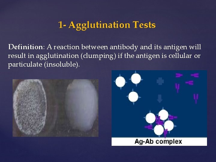 1 - Agglutination Tests Definition: A reaction between antibody and its antigen will result