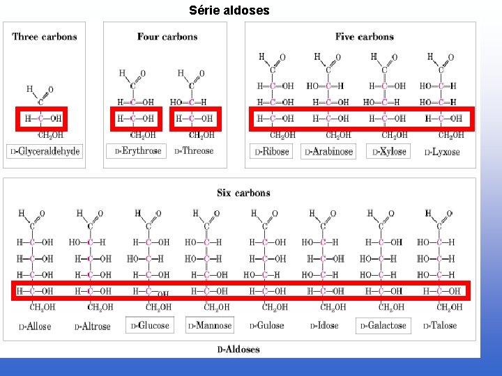 Série aldoses 