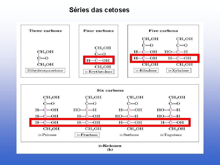 Séries das cetoses 