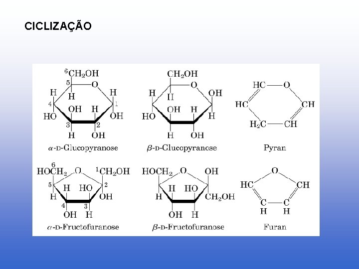 CICLIZAÇÃO 