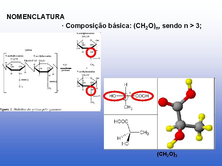 NOMENCLATURA · Composição básica: (CH 2 O)n, sendo n > 3; (CH 2 O)3