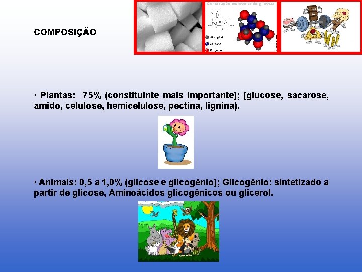 COMPOSIÇÃO · Plantas: 75% (constituinte mais importante); (glucose, sacarose, amido, celulose, hemicelulose, pectina, lignina).