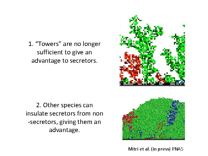 1. “Towers” are no longer sufficient to give an advantage to secretors. 2. Other