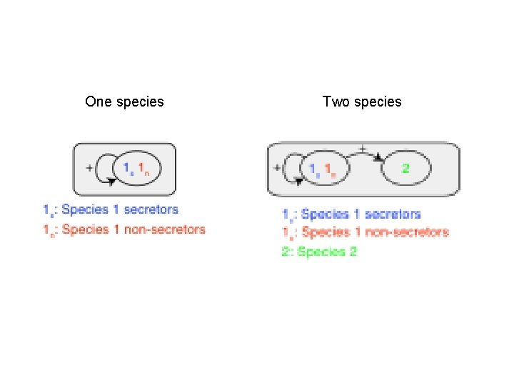 One species Two species 