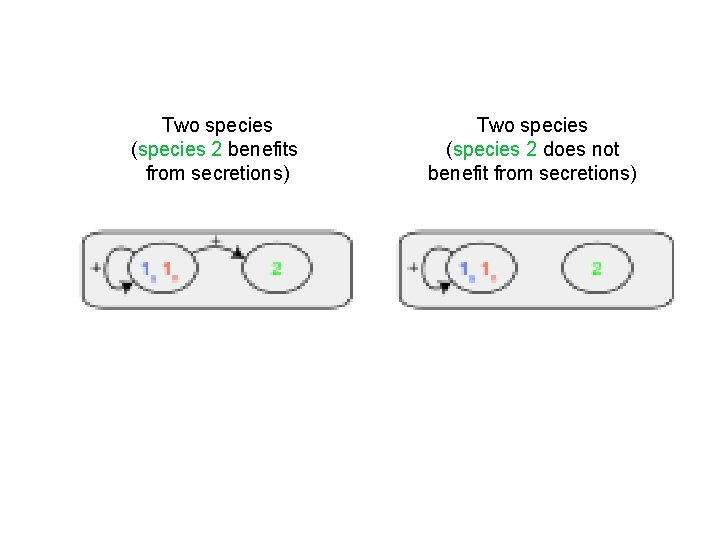 Two species (species 2 benefits from secretions) Two species (species 2 does not benefit