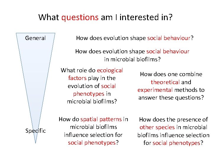 What questions am I interested in? General How does evolution shape social behaviour? How