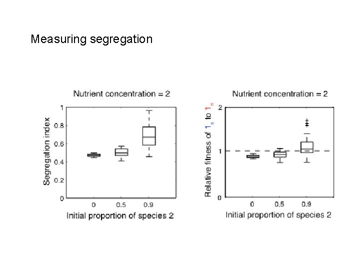 Measuring segregation 