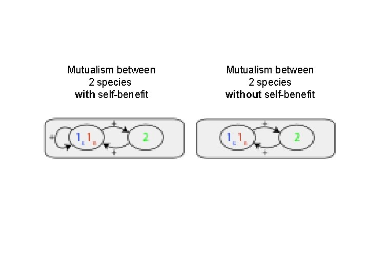 Mutualism between 2 species with self-benefit Mutualism between 2 species without self-benefit 