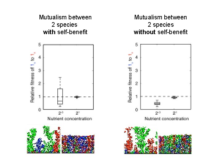 Mutualism between 2 species with self-benefit Mutualism between 2 species without self-benefit 