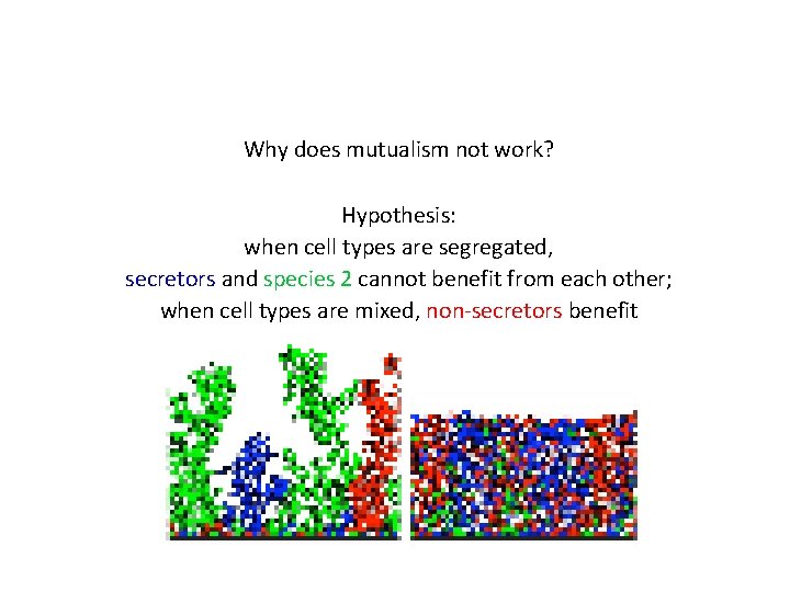 Why does mutualism not work? Hypothesis: when cell types are segregated, secretors and species