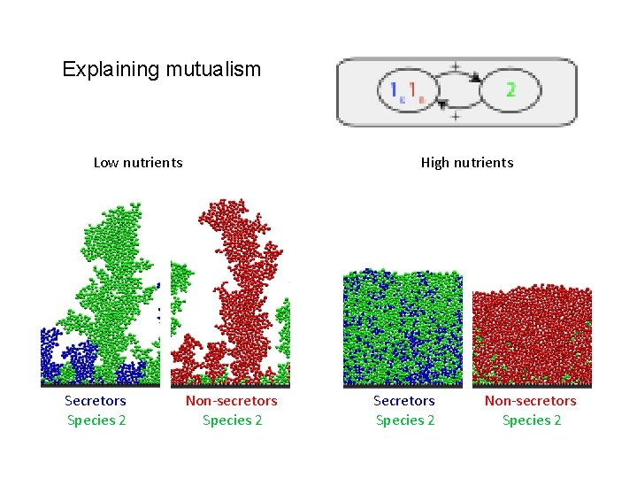 Explaining mutualism Low nutrients Secretors Species 2 High nutrients Non-secretors Species 2 Secretors Species