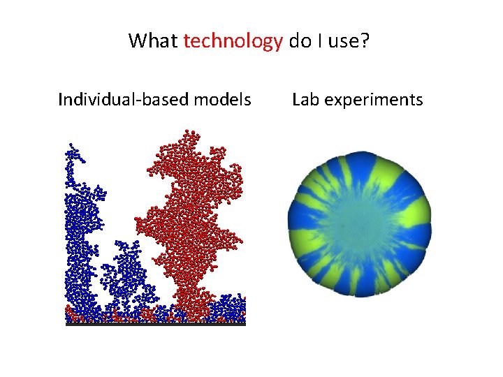 What technology do I use? Individual-based models Lab experiments 