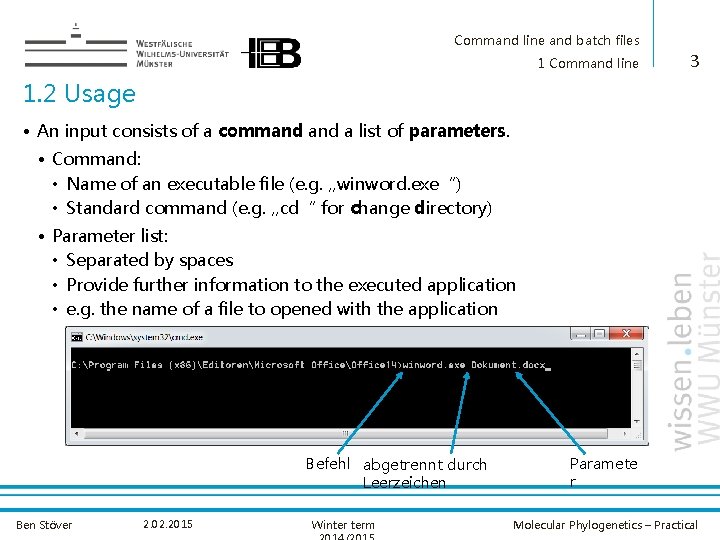Command line and batch files Molekular Phylogenetics Practical