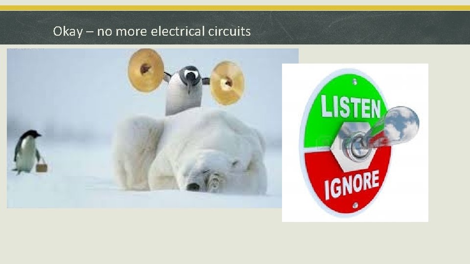 Okay – no more electrical circuits 