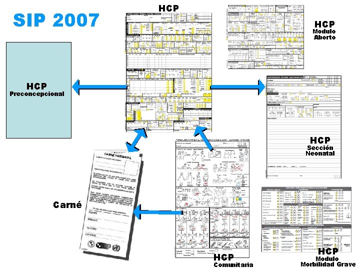 SIP 2007 HCP Modulo Aborto HCP Preconcepcional HCP Sección Neonatal Carné HCP Comunitaria HCP