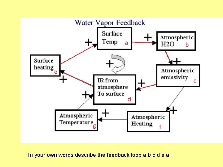 In your own words describe the feedback loop a b c d e a.