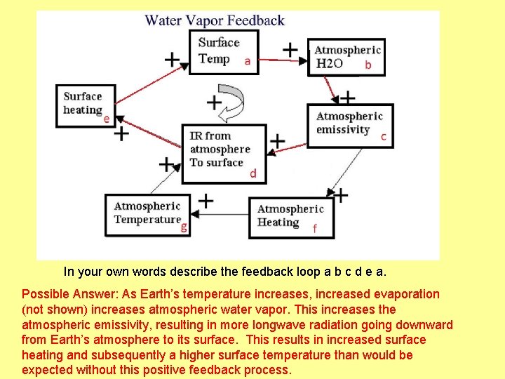 In your own words describe the feedback loop a b c d e a.