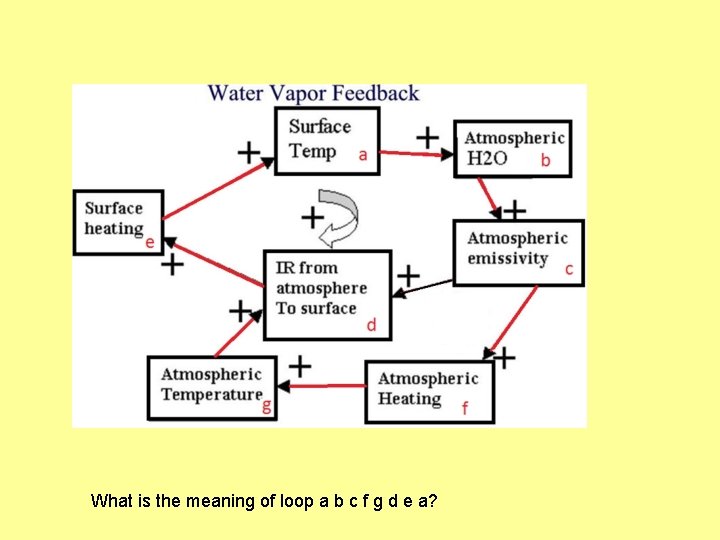 What is the meaning of loop a b c f g d e a?