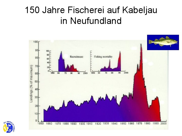 150 Jahre Fischerei auf Kabeljau in Neufundland 