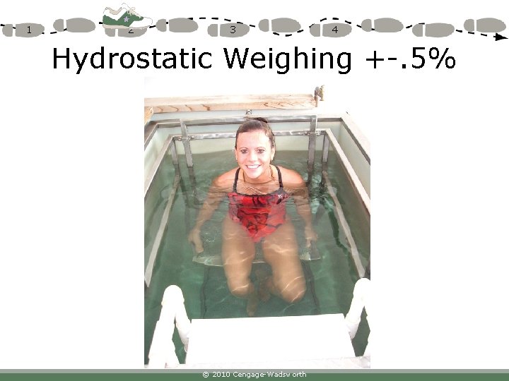 1 2 3 4 Hydrostatic Weighing +-. 5% © 2010 Cengage-Wadsworth 