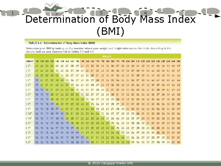 1 2 3 4 Determination of Body Mass Index (BMI) © 2010 Cengage-Wadsworth 