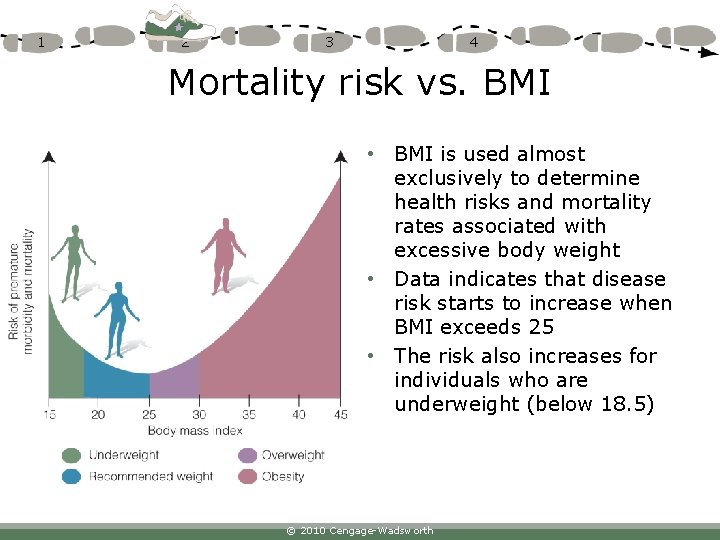 1 2 3 4 Mortality risk vs. BMI • BMI is used almost exclusively