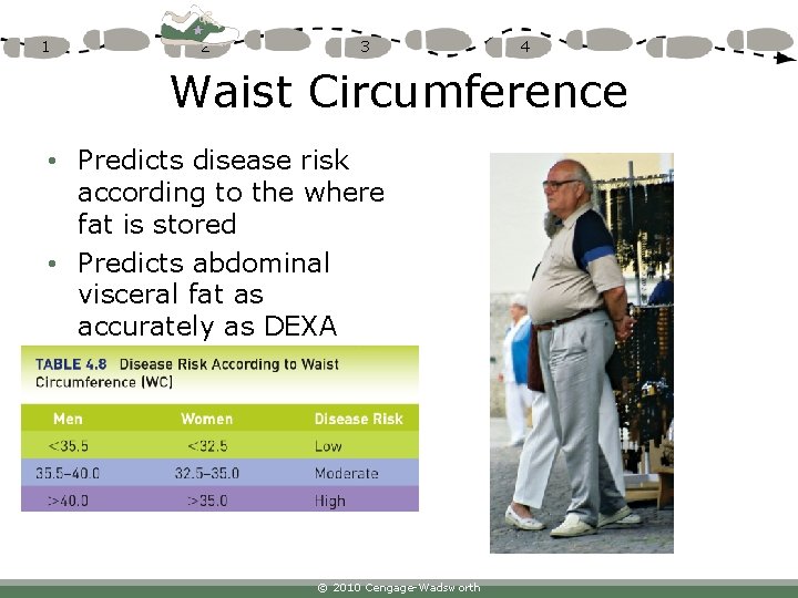 1 2 3 4 Waist Circumference • Predicts disease risk according to the where