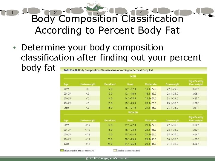 1 2 3 4 Body Composition Classification According to Percent Body Fat • Determine