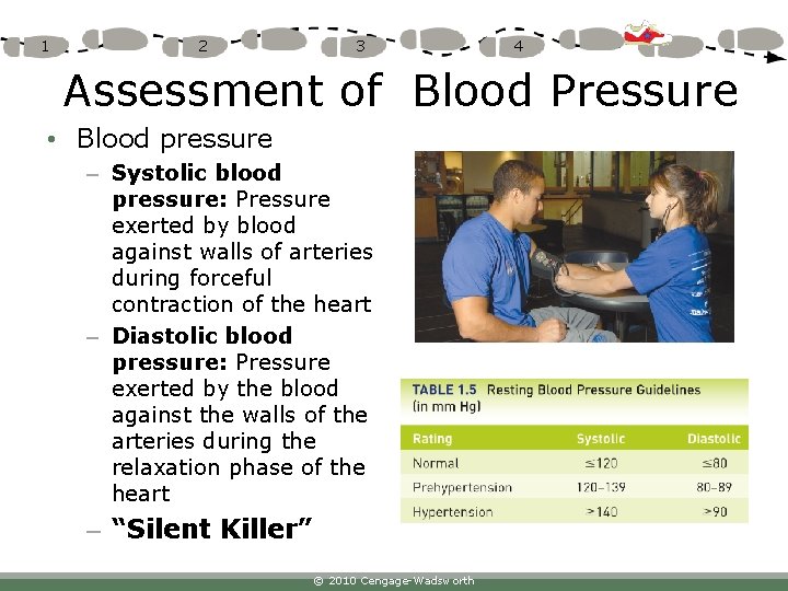 1 2 3 4 Assessment of Blood Pressure • Blood pressure – Systolic blood