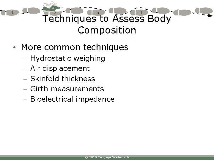 1 2 3 4 Techniques to Assess Body Composition • More common techniques –