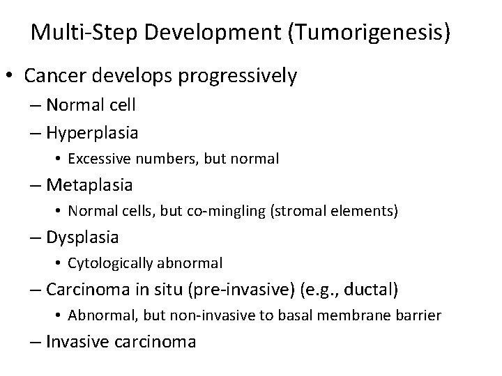 Multi-Step Development (Tumorigenesis) • Cancer develops progressively – Normal cell – Hyperplasia • Excessive