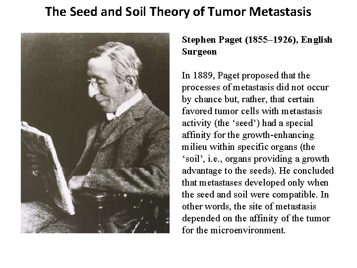 The Seed and Soil Theory of Tumor Metastasis Stephen Paget (1855– 1926), English Surgeon