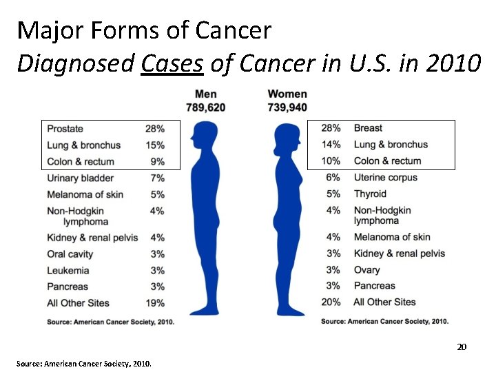 Major Forms of Cancer Diagnosed Cases of Cancer in U. S. in 2010 20