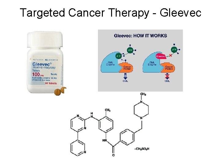 Targeted Cancer Therapy - Gleevec 