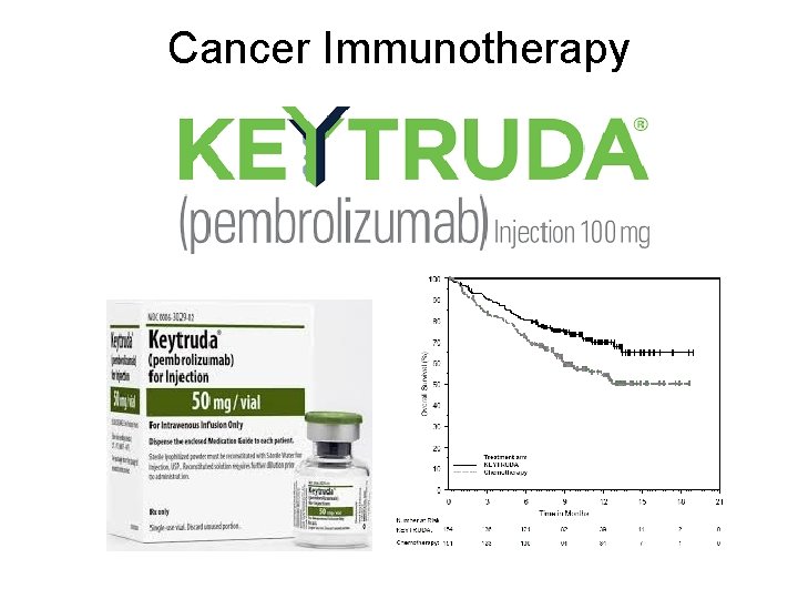 Cancer Immunotherapy 